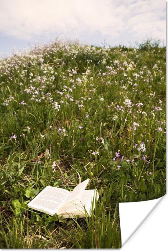Boek in een grasveld met bloemen 120x180 cm XXL / Groot formaat! - Foto print op Poster (wanddecoratie woonkamer / slaapkamer)