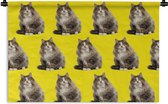 Tapisserie - Tapisserie - Chat - Motif - Jaune - 150x100 cm - Tapisserie
