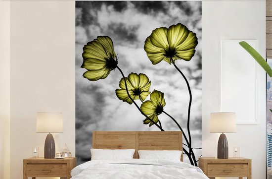 Papier Peint - Papier Papier peint photo Fleurs - Zwart - Wit - Jaune - Largeur 170 cm x Hauteur 260 cm