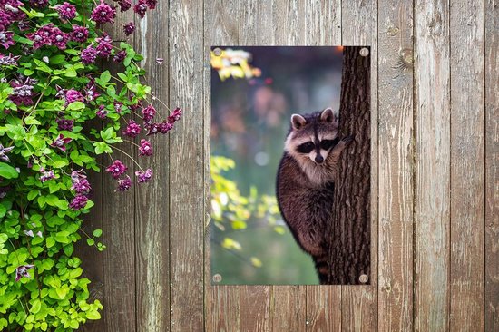 Tuinposter 40x60 cm - Tuindecoratie Wasbeer - Boom - Natuur - Poster voor in de tuin - Buiten decoratie - Schutting tuinschilderij - Tuindoek muurdecoratie - Wanddecoratie balkondoek