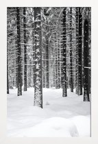 JUNIQE - Poster in houten lijst Deep Dark White Forest -20x30 /Grijs &