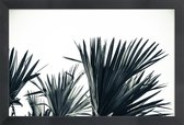 JUNIQE - Poster met houten lijst Palm Shade 3 -13x18 /Grijs & Wit