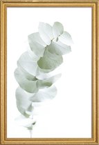 JUNIQE - Poster met houten lijst Eucalyptus White 1 -13x18 /Groen &