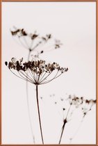 JUNIQE - Poster met kunststof lijst Dried Flowers Anetum 2A -20x30