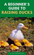 A Beginner’s Guide To Raising Ducks