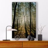 Aluminium Schilderij Sunrise Forest