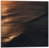 Forex - Zee tijdens Zonsondergang - 50x50cm Foto op Forex