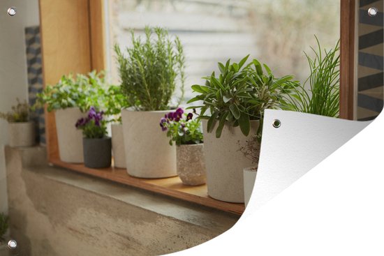 Tuinposter - Tuindoek - Tuinposters buiten - Potten met viooltjes en kruiden in een vensterbank - 120x80 cm - Tuin