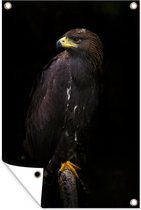 Affiche de jardin - Toile de jardin - Posters de jardin extérieur - Aigle - Animal - Marron - 80x120 cm - Jardin