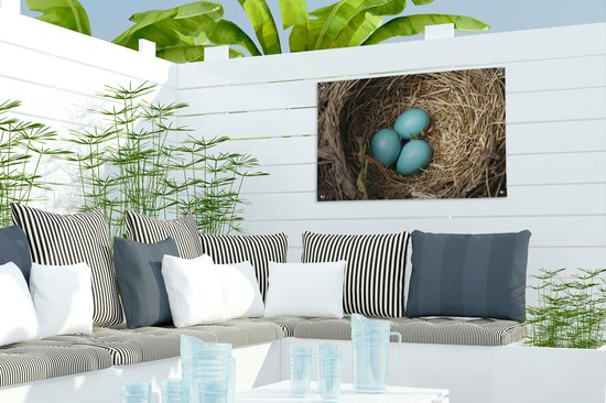 Décoration de jardin Oeufs - Blauw - Rouge-gorge - 60x40 cm - Affiche de jardin - Toile de jardin