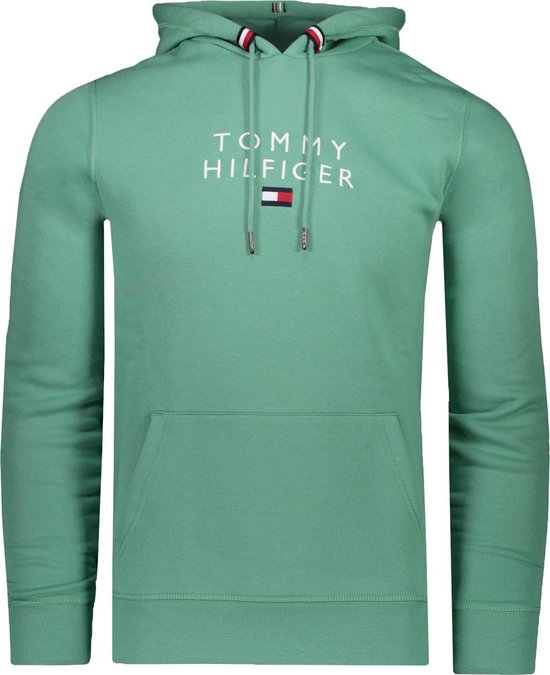 Pull Tommy Hilfiger Vert Normal - Taille S - Homme - Collection  Automne/Hiver -... | bol