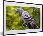 Photo en cadre - Un pigeon sauvage coloré parmi les feuilles vertes Cadre photo noir avec passe-partout blanc, moyen 60x40 cm - Affiche sous cadre (Décoration murale salon / chambre)