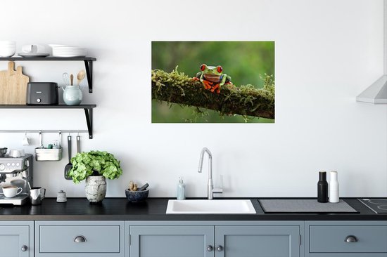 Poster Grenouille aux yeux rouges sur une branche couverte - 60x40 cm