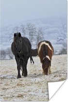 Poster Paarden - Sneeuw - Wit - 20x30 cm