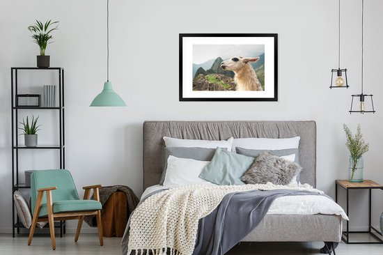 Photo dans le cadre - Lama Witte avec des taches noires Cadre photo noir avec passe partout blanc 60x90 90x60 cm - Affiche dans le cadre (Décoration murale salon / chambre)