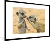 Cadre photo deux suricates noir avec passe partout blanc 80x120