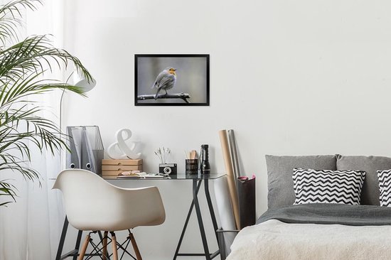 Cadre photo avec affiche - Robin - Branche - Hiver - 30x20 cm - Cadre pour affiche