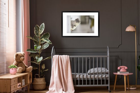 Chaton regarde le cadre photo de l'appareil photo noir avec tapis blanc 60x90