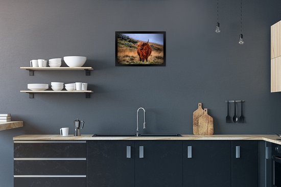 Cadre photo Highlander écossais sur colline noir sans passe partout