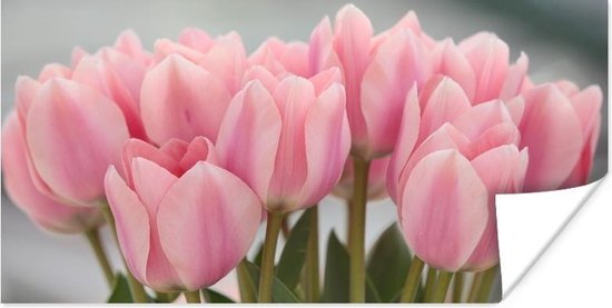 Poster Close-up van de roze bladeren van de tulpen