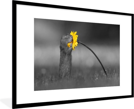 Cadre photo avec affiche - Bois - Écureuil - Fleurs - 120x80 cm - Cadre  pour affiche