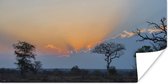 Affiche - Le paysage du parc Kruger en Afrique au coucher du soleil - 120x60 cm