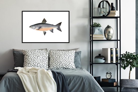 Poisson hareng sur fond blanc 90x60 cm