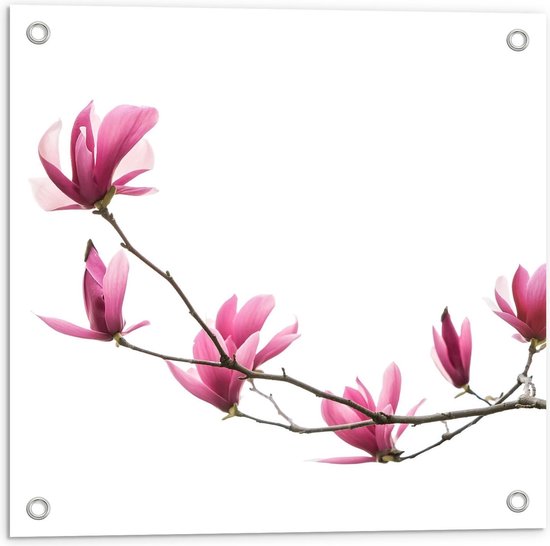Blaast op Verzamelen Daarom Tuinposter – Kleine Roze Bloemetjes aan Tak - 50x50cm Foto op Tuinposter  ... | bol.com