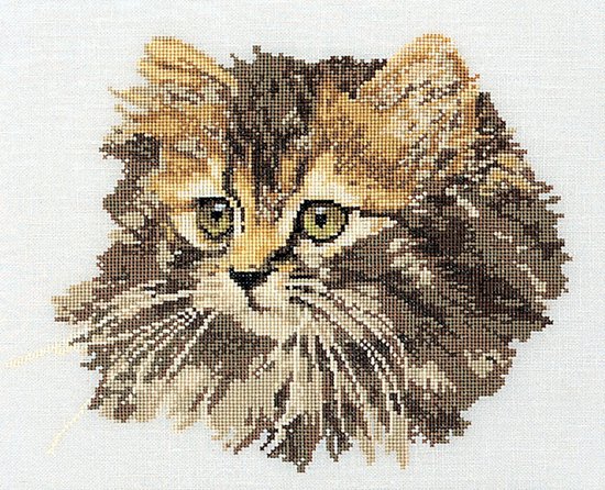 Kit Point De Croix Thea Gouverneur - Halloween Chaton - Aida 16 - Neuf