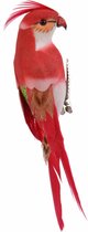 Decoratie kunststof vogel beeldje Papegaai op clip rood 13 cm