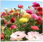 Tuinposter – Verschillende Bloemen in het Veld - 80x80cm Foto op Tuinposter  (wanddecoratie voor buiten en binnen)