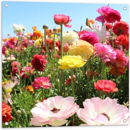 Tuinposter – Verschillende Bloemen in het Veld - 80x80cm Foto op Tuinposter  (wanddecoratie voor buiten en binnen)