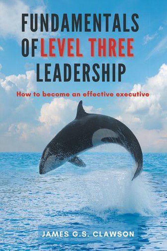 Fundamentals of Level Three Leadership - cover