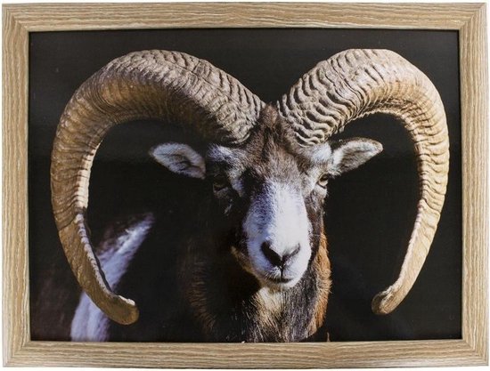 Schootkussen/laptray ram/schaap print 33 x 43 cm - Schapen dieren artikelen  -... | bol.com