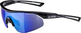 Alpina Nylos Shield Bril, zwart