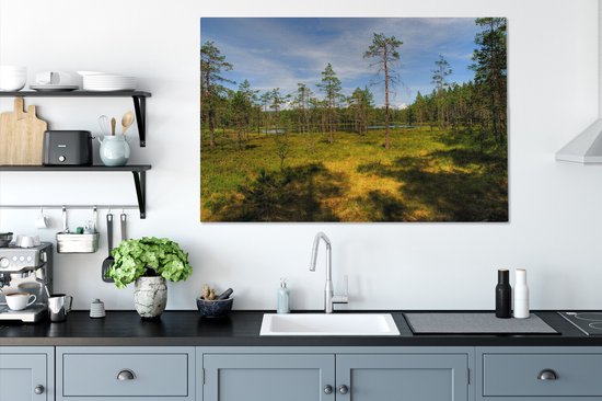 Grands arbres sur la bruyère dans le parc national de Skuleskogen en Suède Toile 120x80 cm - Tirage photo sur toile (Décoration murale salon / chambre)