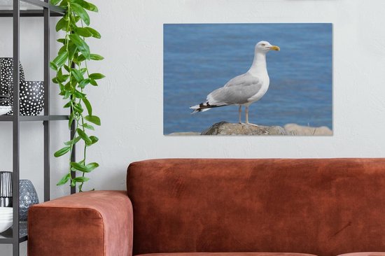 Un goéland argenté avec la mer en arrière-plan Toile 60x40 cm - Tirage photo sur toile (Décoration murale salon / chambre)