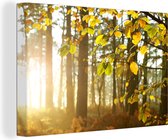 Le soleil d'automne brille sur les arbres Toile 140x90 cm - Tirage photo sur toile (Décoration murale salon / chambre)