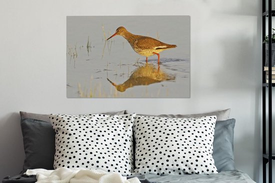 Tureluur in het ondiepe water Canvas 60x40 cm - Foto print op Canvas schilderij (Wanddecoratie woonkamer / slaapkamer)
