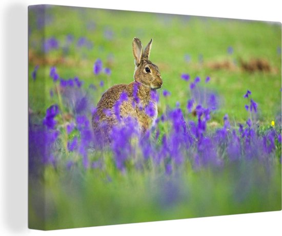 Onscherpe sterhyacinten met een konijn in het midden Canvas 60x40 cm - Foto print op Canvas schilderij (Wanddecoratie woonkamer / slaapkamer)