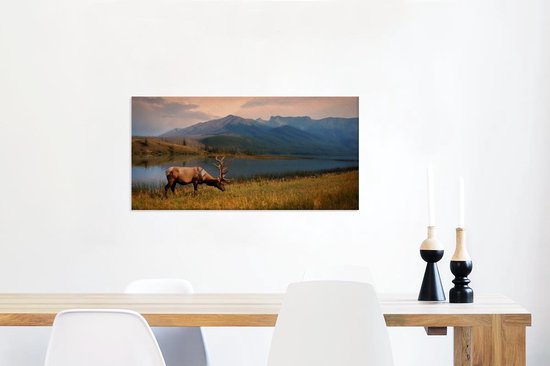 Canvas Schilderij Eland in het Nationaal park Jasper in Noord-Amerika - 80x40 cm - Wanddecoratie