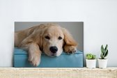 Canvas Schilderij Een liggende Golden Retriever - 30x20 cm - Wanddecoratie