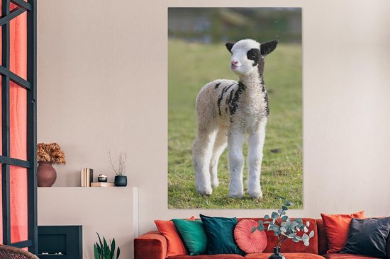 Petite toile blanche avec agneau noir dans l'herbe 120x180 cm - Tirage photo sur toile (Décoration murale salon / chambre) / Animaux de la ferme Peintures sur toile XXL / Grand format!