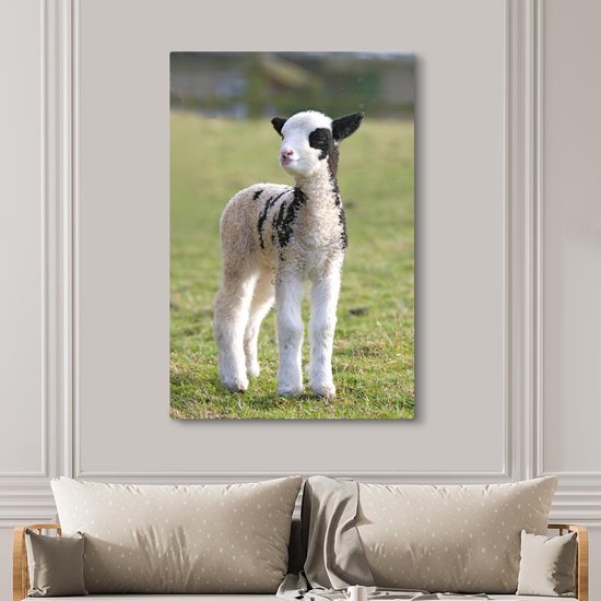 Petite toile blanche avec agneau noir dans l'herbe 120x180 cm - Tirage photo sur toile (Décoration murale salon / chambre) / Animaux de la ferme Peintures sur toile XXL / Grand format!