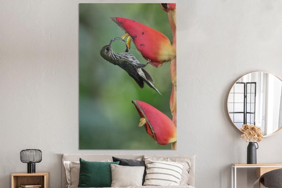 Le colibri à bec crochu à la fleur d'heliconia pogonantha au Costa Rica Toile 120x180 cm - Tirage photo sur Toile (Décoration murale salon / chambre) XXL / Groot format!