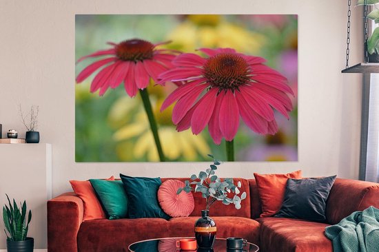 Canvas schilderij 180x120 cm - Wanddecoratie Twee knalroze zonnehoeden (Echinacea) - Muurdecoratie woonkamer - Slaapkamer decoratie - Kamer accessoires - Schilderijen