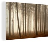 Les grands arbres dans une forêt brumeuse 60x40 cm - impression photo sur toile peinture Décoration murale salon / chambre à coucher) / Arbres Peintures Toile