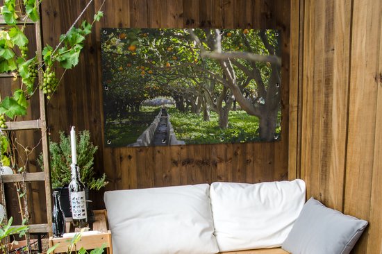 Affiche jardin - Toile jardin - Posters de jardin extérieur - Orangeraie en Espagne - 120x80 cm - Jardin