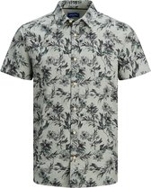 Jorcali Shirt Ss 12187969 Sedona Sage