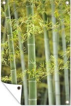 Tuinposter - Tuindoek - Tuinposters buiten - Bamboe in bloei - 80x120 cm - Tuin